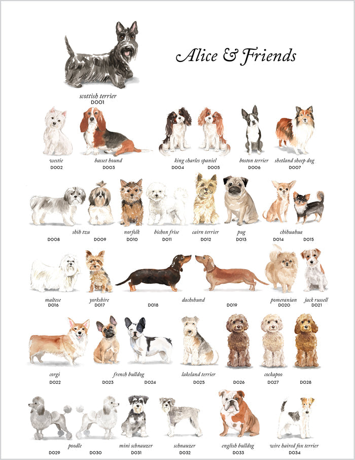 Alice & Friends