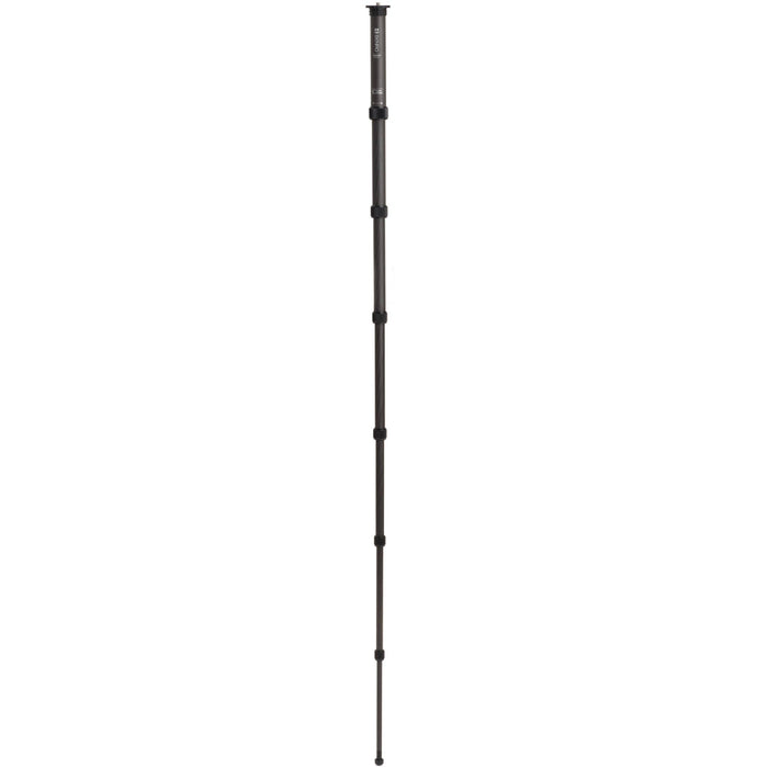 Portable Benro MMX37C monopod for travel photography