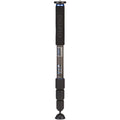 Black monopod with Benro branding on a white background