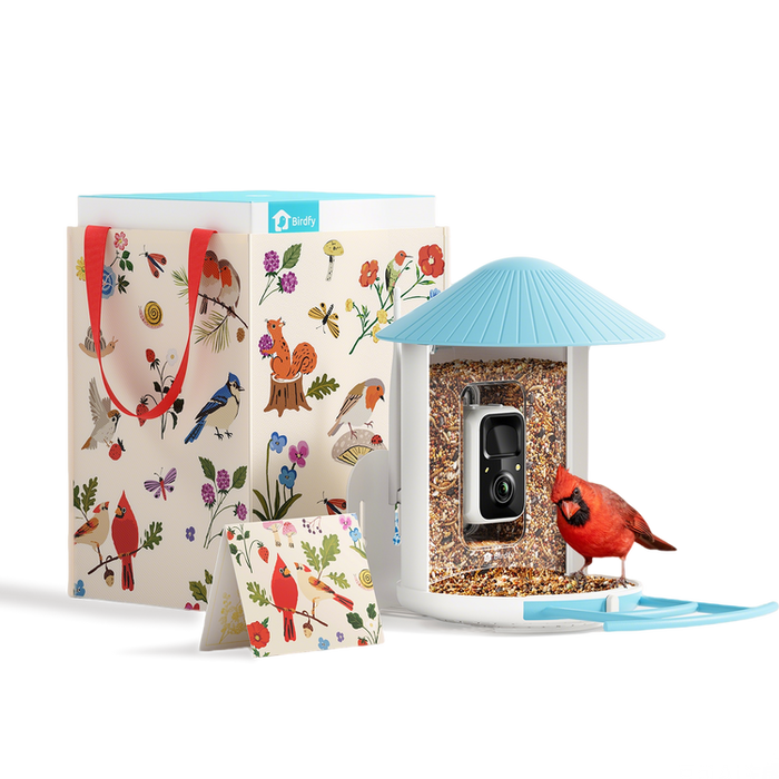 Birdfy Feeder - Édition Cadeau