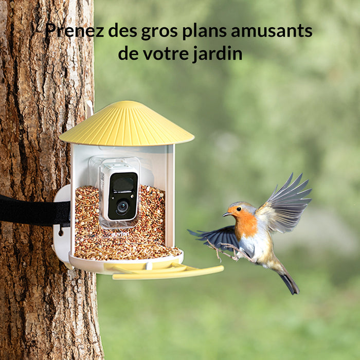 Birdfy Feeder - Édition Cadeau