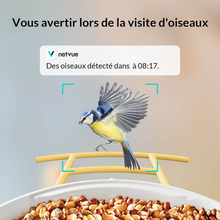 Birdfy Feeder - Édition Cadeau