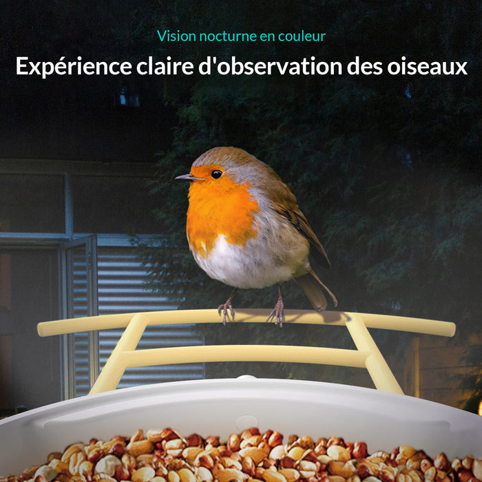Birdfy Feeder - Édition Cadeau