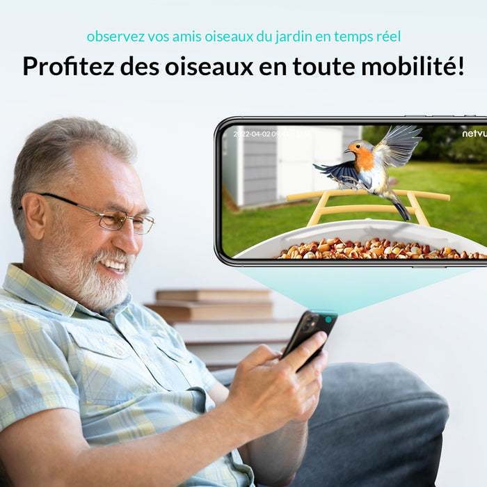 Birdfy Feeder - Édition Cadeau