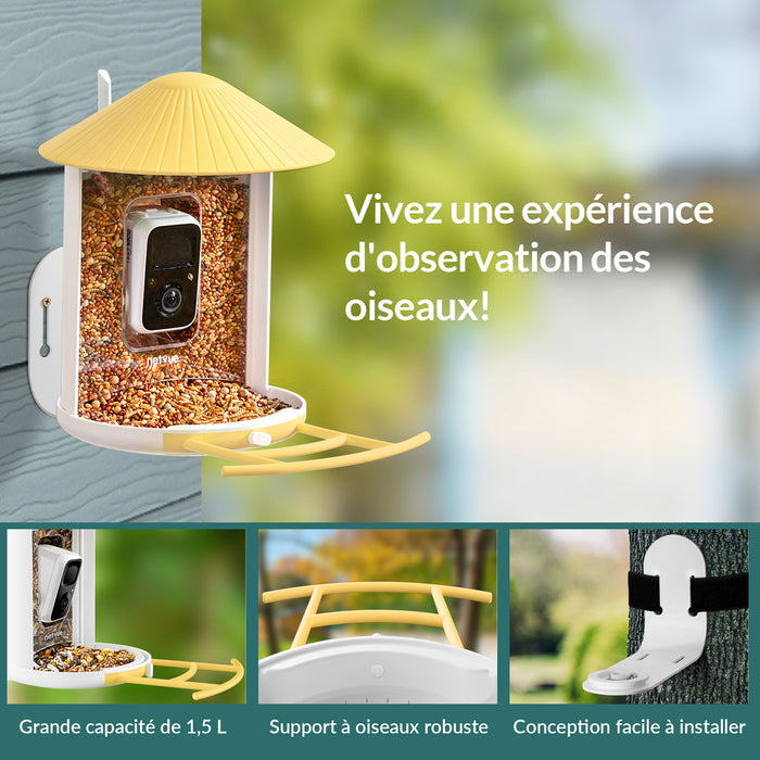 Birdfy Feeder - Édition Cadeau