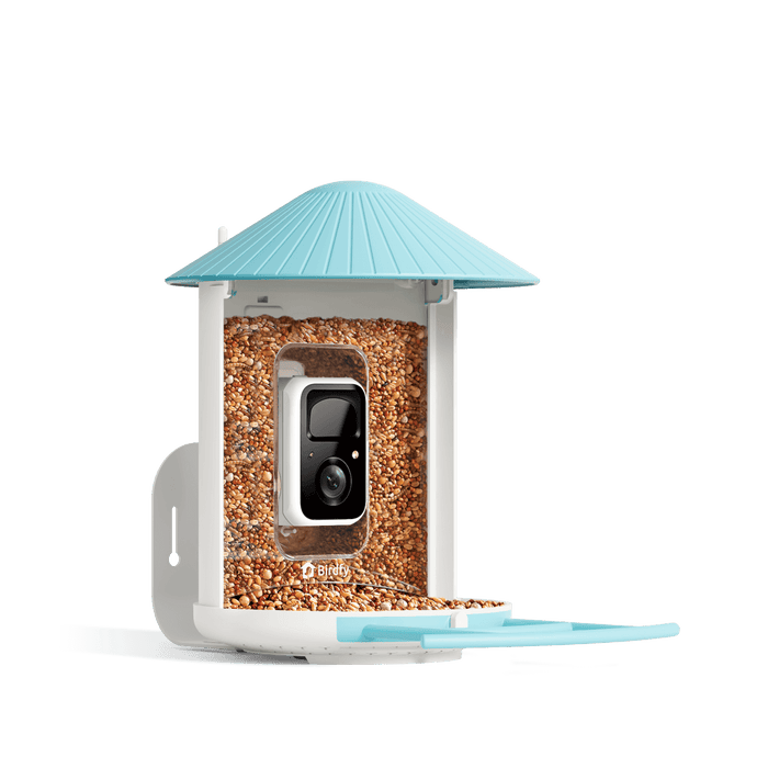 Birdfy Feeder - Mangeoire à Oiseaux avec Caméra