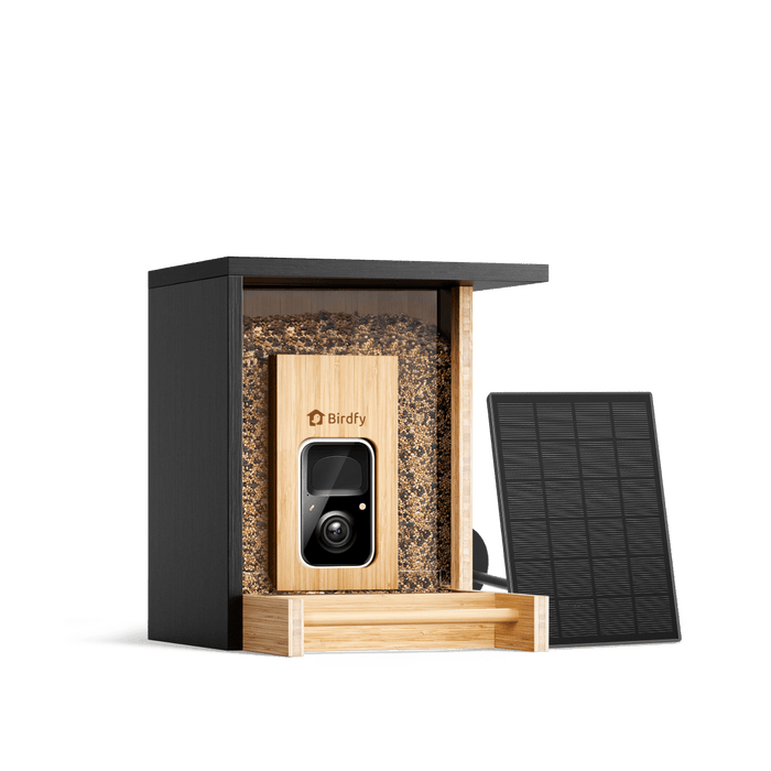 Birdfy Feeder Bamboo Mini - Mangeoire intelligente en matériau éco-responsable