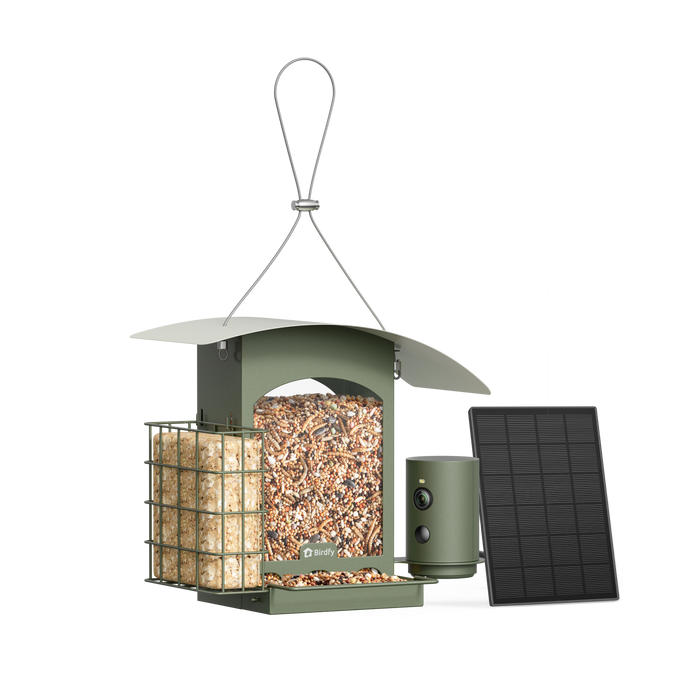 Birdfy Feeder Metal A - Mangeoire à Oiseaux avec Caméra