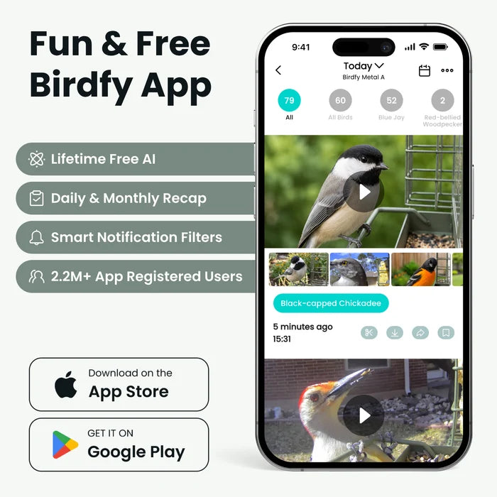 Birdfy Feeder Metal A - Mangeoire à Oiseaux avec Caméra