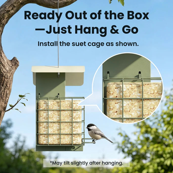 Birdfy Feeder Metal A - Mangeoire à Oiseaux avec Caméra