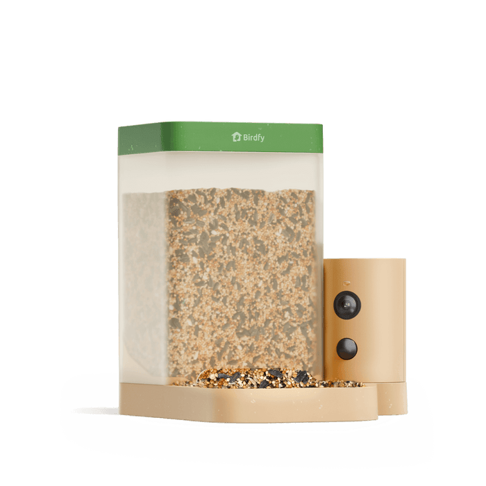 Birdfy Feeder Rookie - Mangeoire à Oiseaux Connectée Facile pour Débutants
