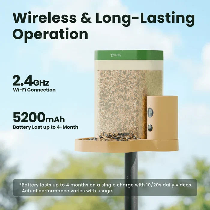 Birdfy Feeder Rookie - Mangeoire à Oiseaux Connectée Facile pour Débutants