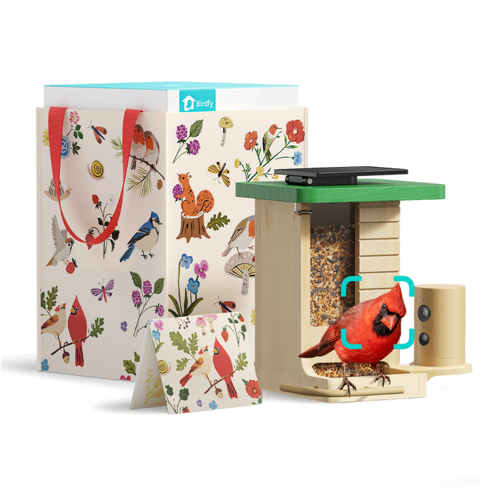 Birdfy Feeder Wood – Édition Cadeau
