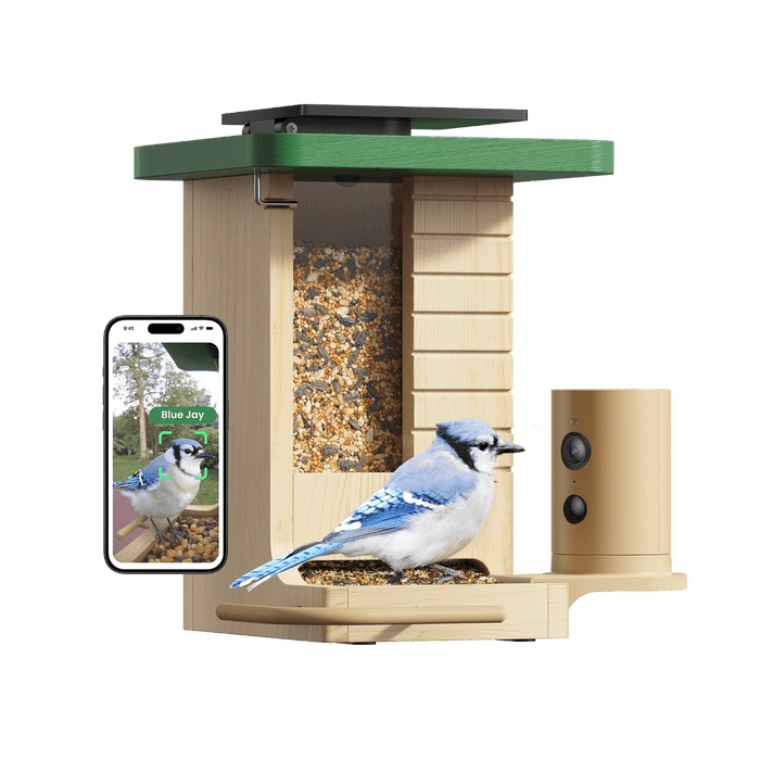 Birdfy Feeder Wood – Édition Cadeau