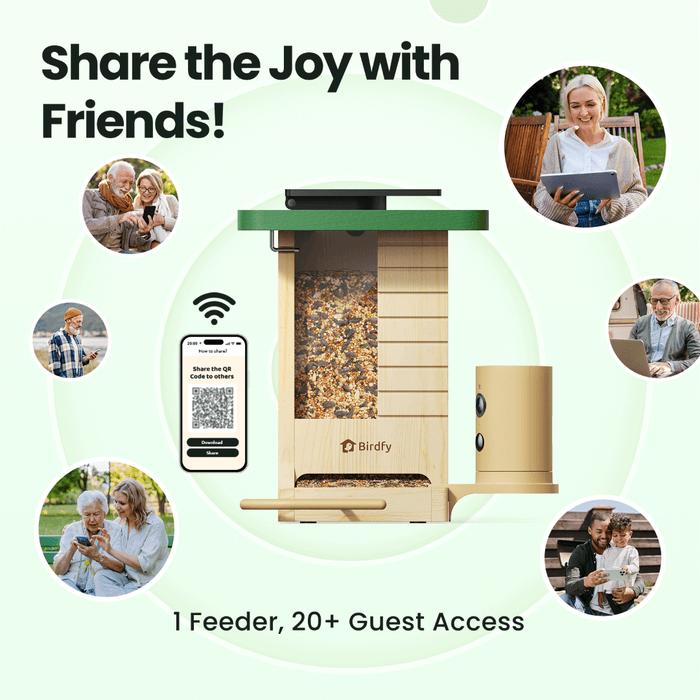 Birdfy Feeder Wood – Édition Cadeau