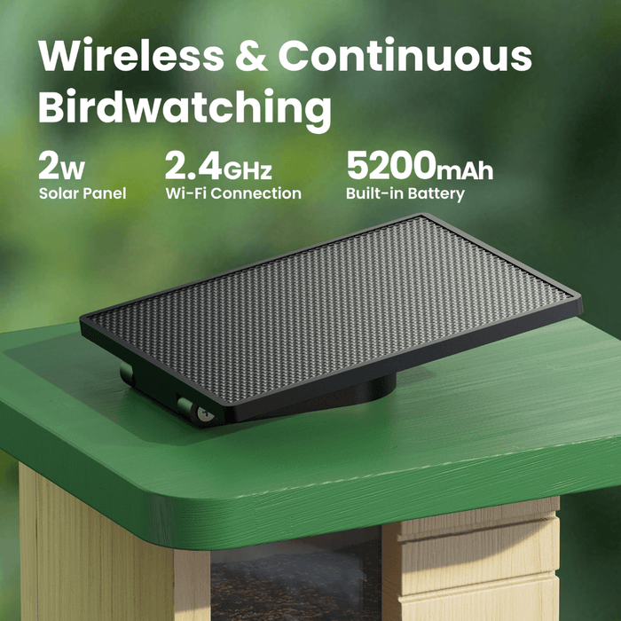 Birdfy Feeder Wood – Édition Cadeau
