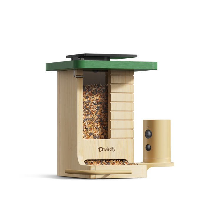 Birdfy Feeder Wood – Mangeoire à Oiseaux Intelligente en Bois avec Caméra