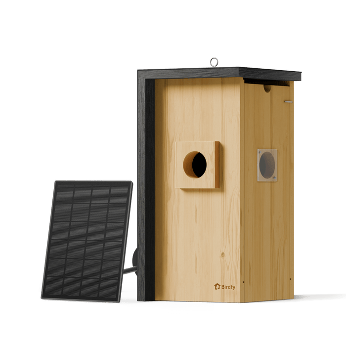 Birdfy Nest - Maison à Oiseaux Intelligente en Bois avec Caméra