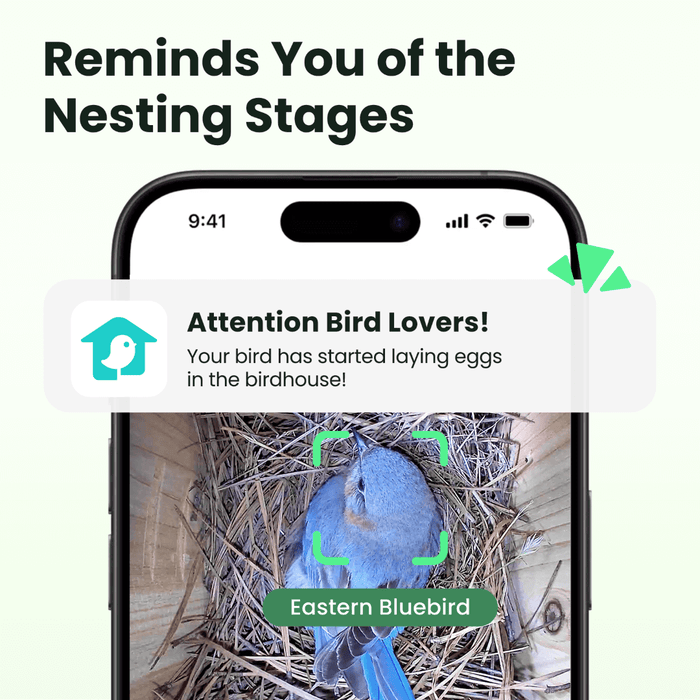Birdfy Nest - Maison à Oiseaux Intelligente en Bois avec Caméra