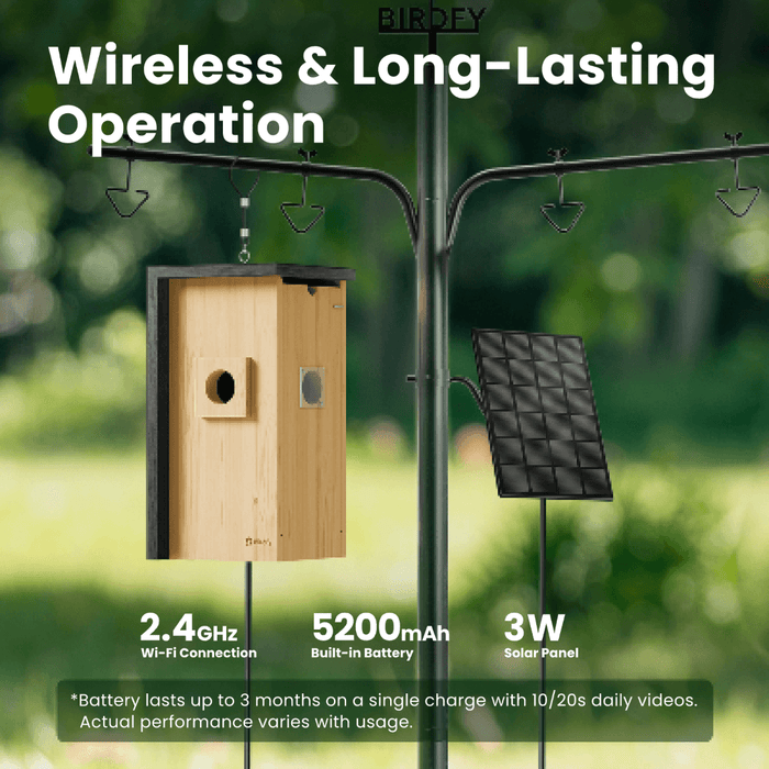 Birdfy Nest - Maison à Oiseaux Intelligente en Bois avec Caméra