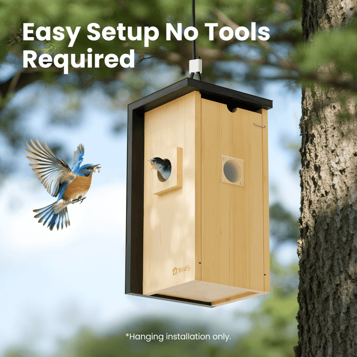 Birdfy Nest - Maison à Oiseaux Intelligente en Bois avec Caméra
