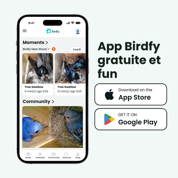 Birdfy Nest Wood – Cabane à Oiseaux Intelligente en bois
