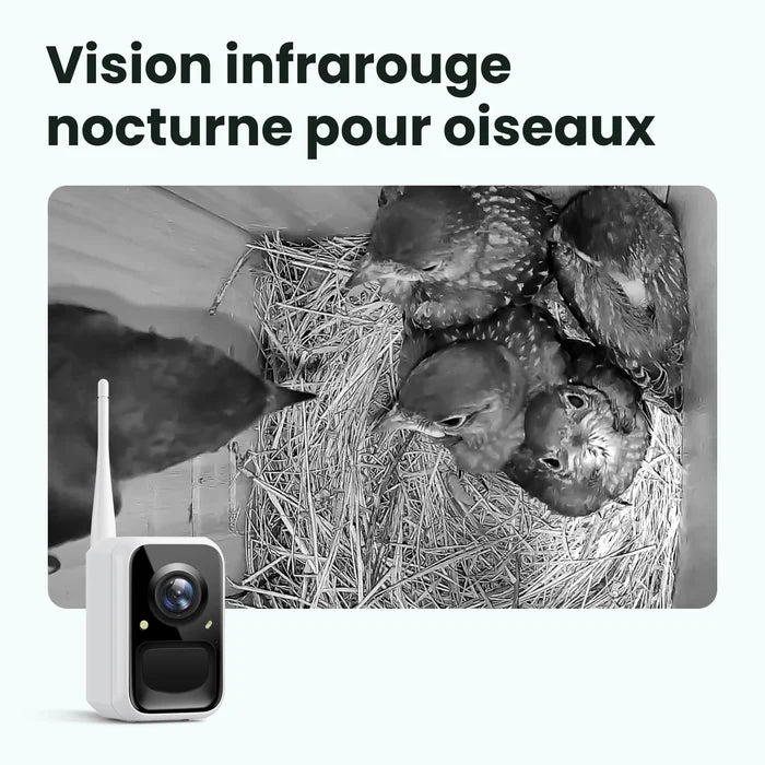 Birdfy Nest Wood – Cabane à Oiseaux Intelligente en bois