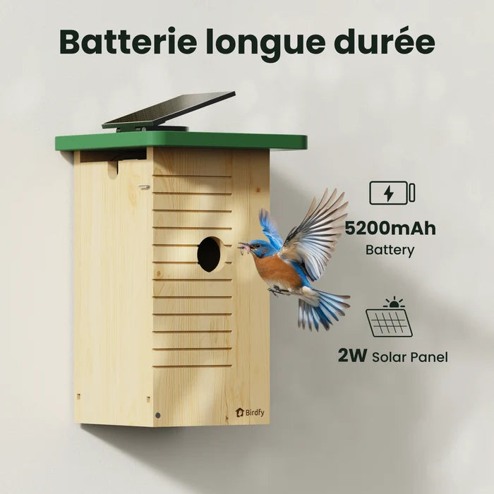 Birdfy Nest Wood – Cabane à Oiseaux Intelligente en bois