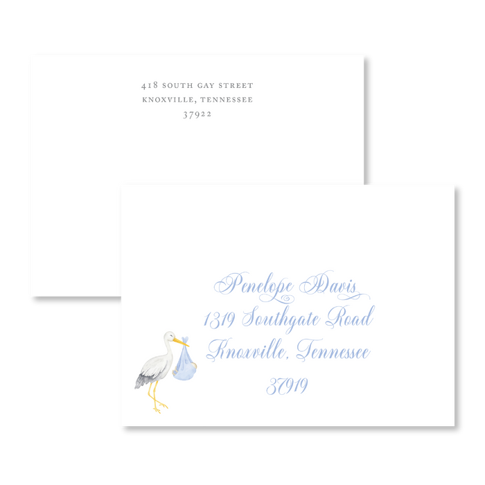 Blue Stork Invitations
