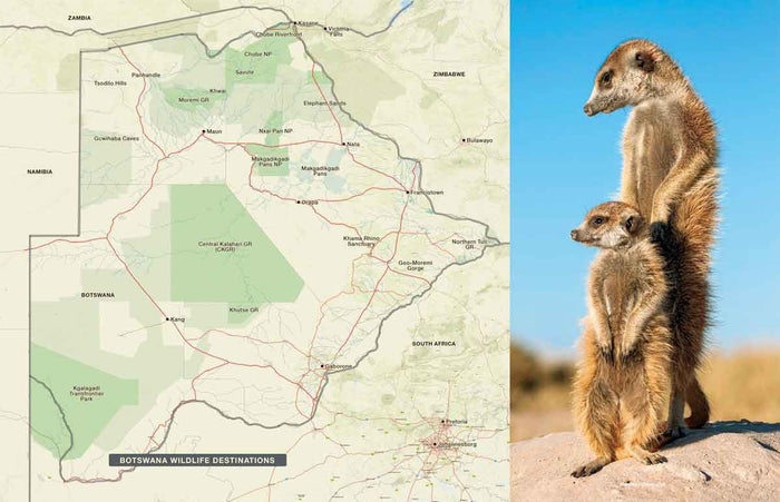 This book is the perfect resource for the hassle-free exploration of Botswana. It features comprehensive details, new maps, and inspirational imagery.