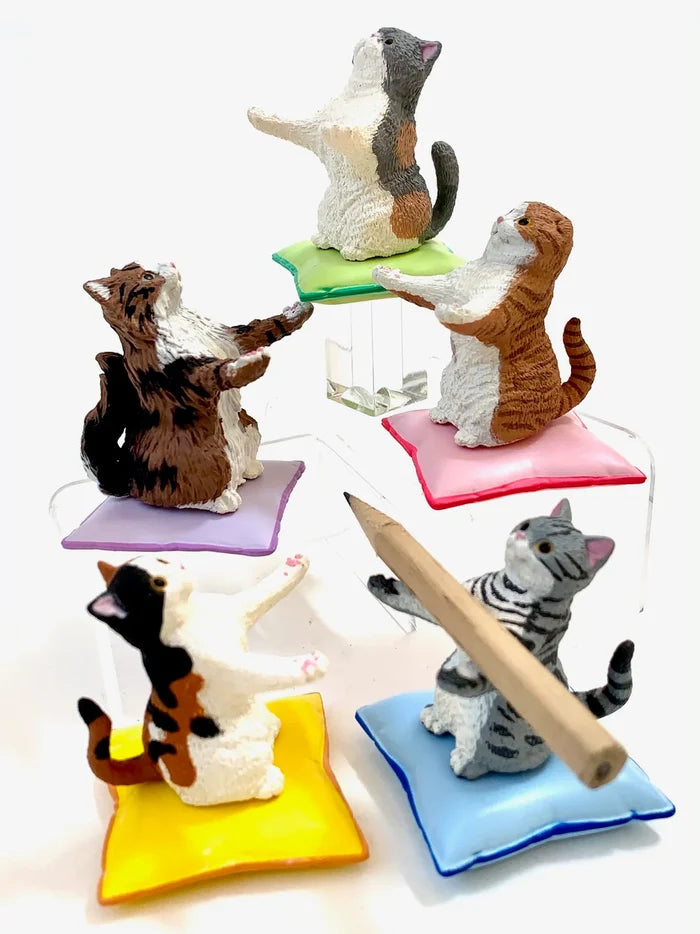 Cat Pen Holder Mystery Box