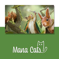 Caverns and Calicos: Squirrel Playmat