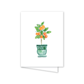 Charleston Citrus Orange Note Cards
