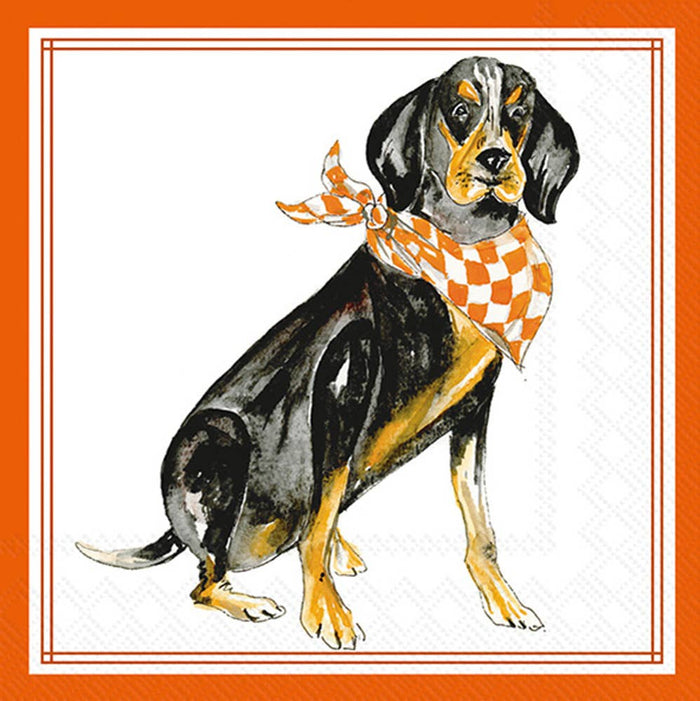 Coonhound