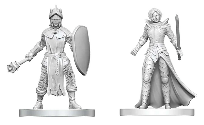 D&D: NMU - Black Gauntlet & Zhentilar Paladin of Bane