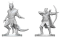 D&D: NMU - Elf Ranger & Dragonborn Monk