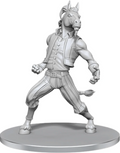 D&D: NMU - Equinal Guardinal