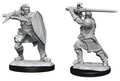 D&D: NMU - Human Paladin Male W14