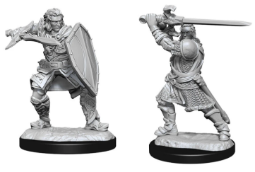 D&D: NMU - Human Paladin Male W14