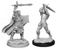 D&D: NMU - Male Human Paladin W12
