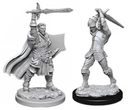 D&D: NMU - Male Human Paladin W12