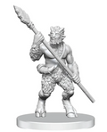 D&D: NMU - W26 Classic Satyr