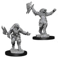 D&D: Nolzur's Marvelous Minis: Female Dragonborn Fighter W11