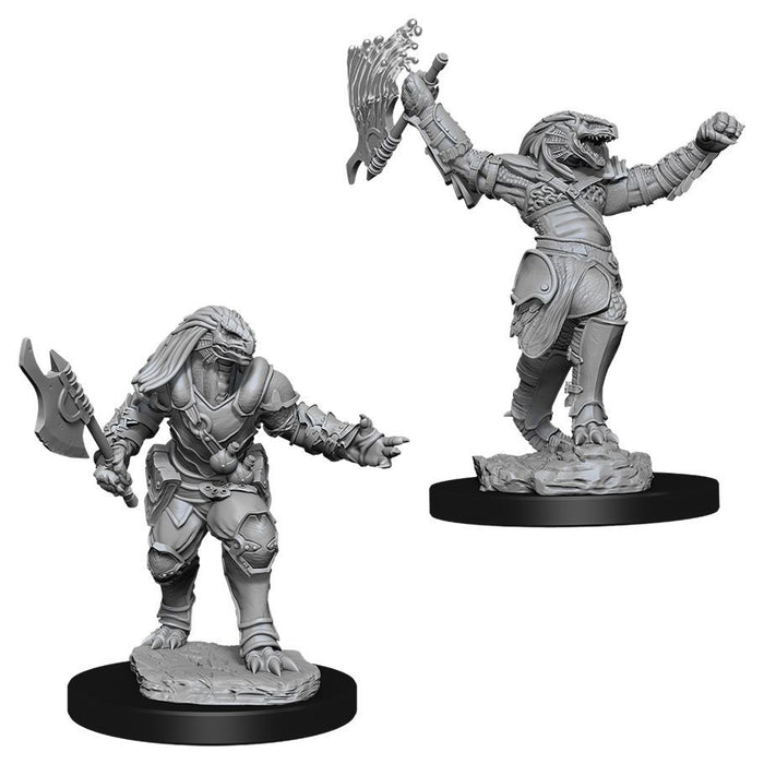 D&D: Nolzur's Marvelous Minis: Female Dragonborn Fighter W11