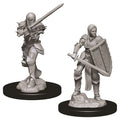 D&D: Nolzur's Marvelous Minis: Female Human Fighter W9