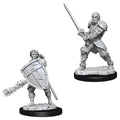 D&D: Nolzur's Marvelous Minis: Male Human Fighter W8