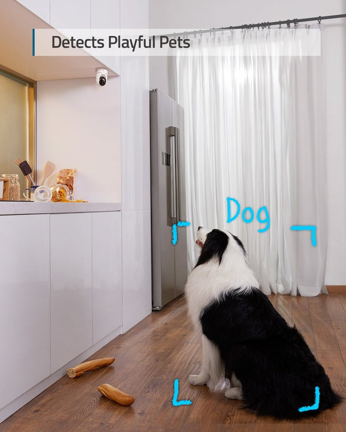 Dog looking at a refrigerator with text 'Detects Playful Pets' above.
