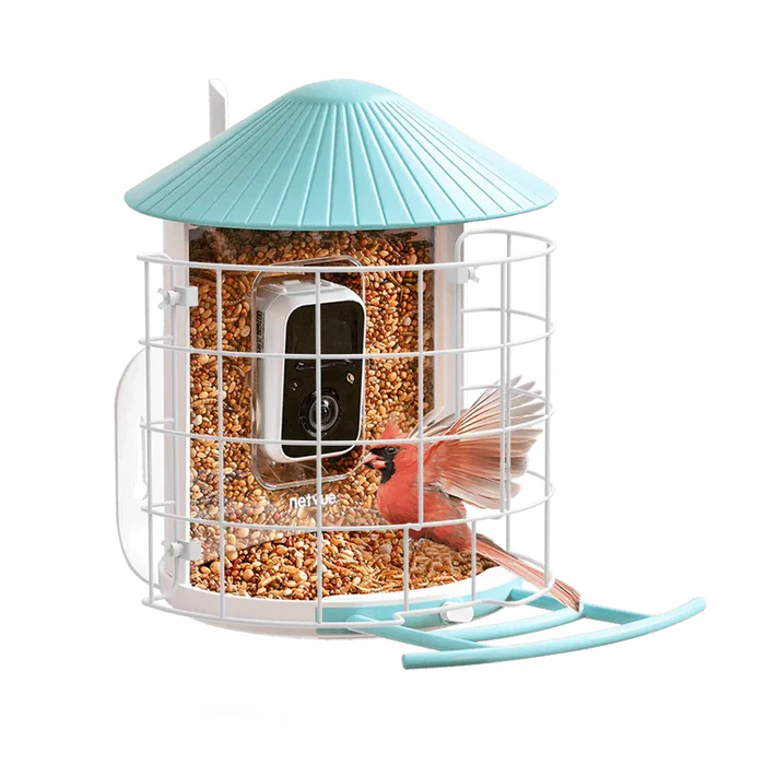 Grille de Protection Birdfy