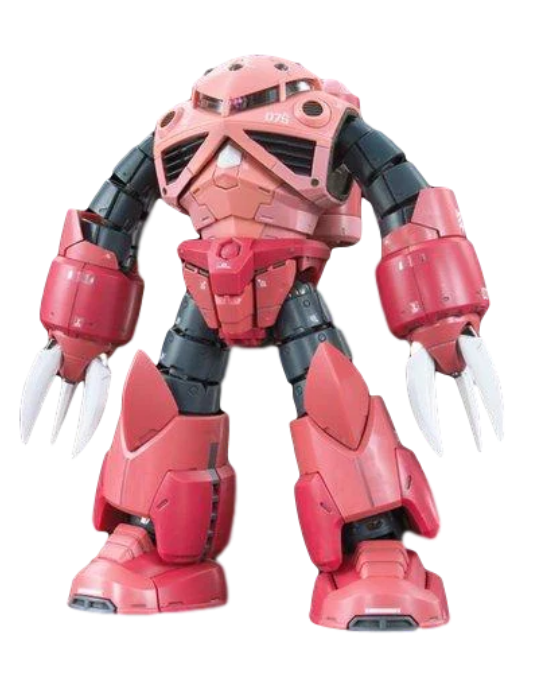 Gundam RG Char's Custom Z'Gok