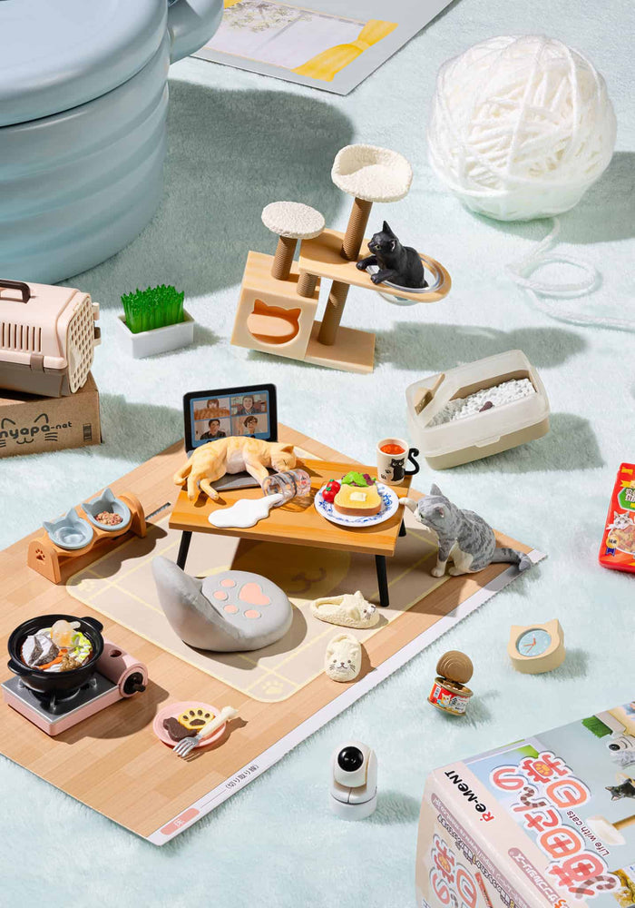 Life with Cats Mystery Box